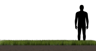 Grass 01